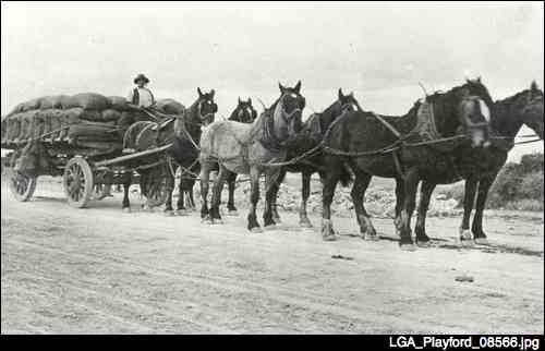 agricultural workers